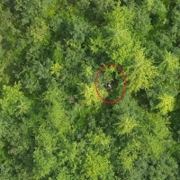 Aberdeen Police Drone Team Locates and Rescues Two Lost Mushroom Hunters