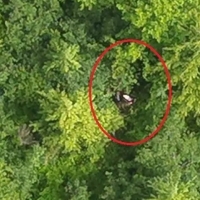 Aberdeen Police Drone Team Locates and Rescues Two Lost Mushroom Hunters
